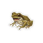 El Coquicuazo Sticker